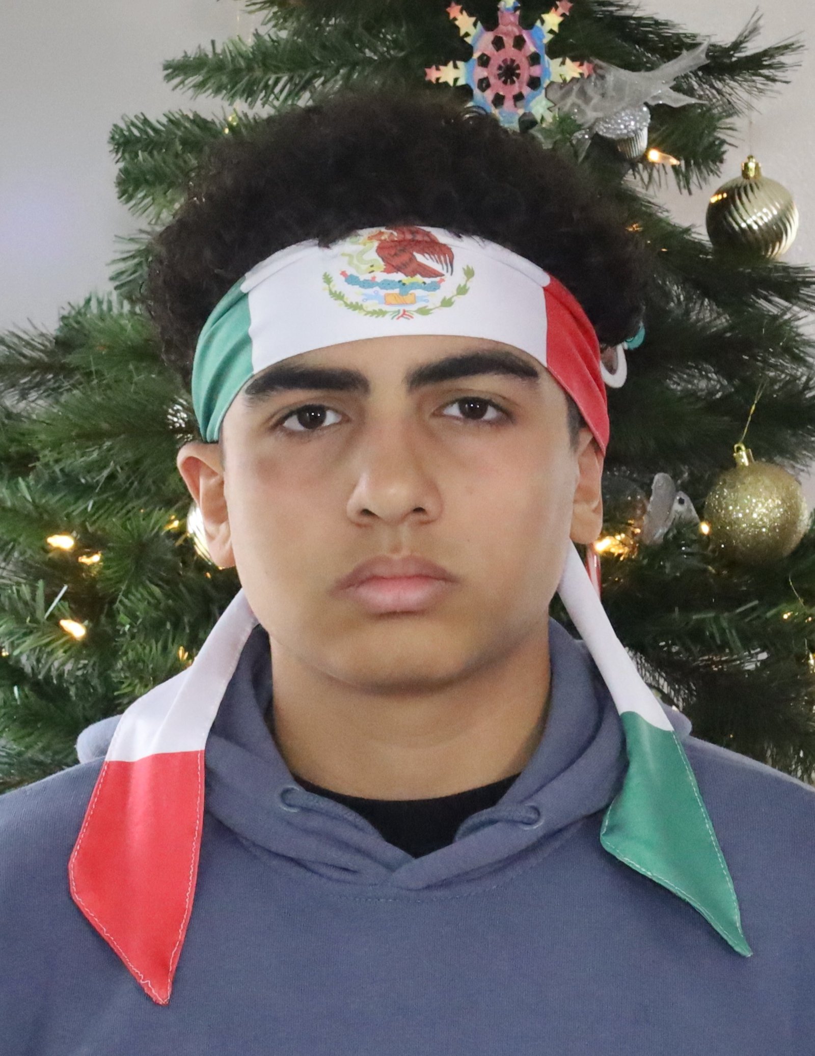 Mexico Fan Bundle - Image 3