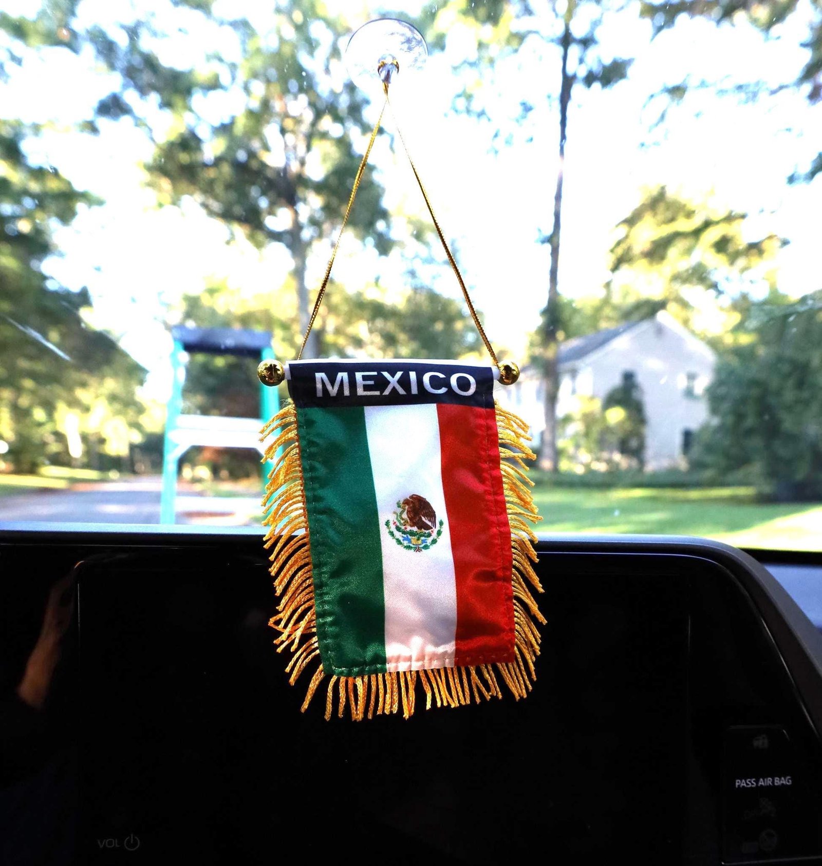 Mexico Flag Car Banner, Mini Mexico Pennant with Gold Tassels